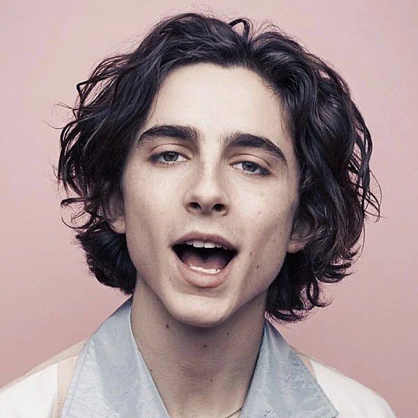 Curtain Hairstyles for men