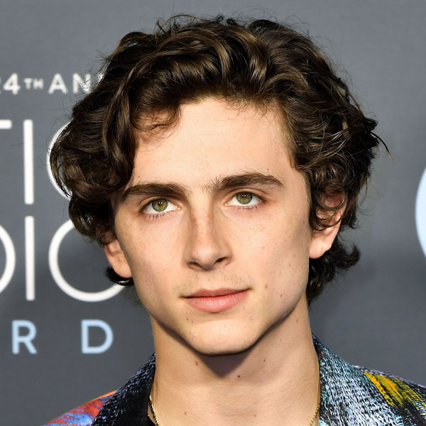Curtain Hairstyles for men