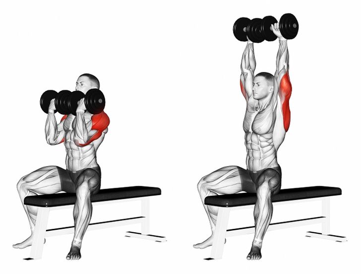 Arnold press