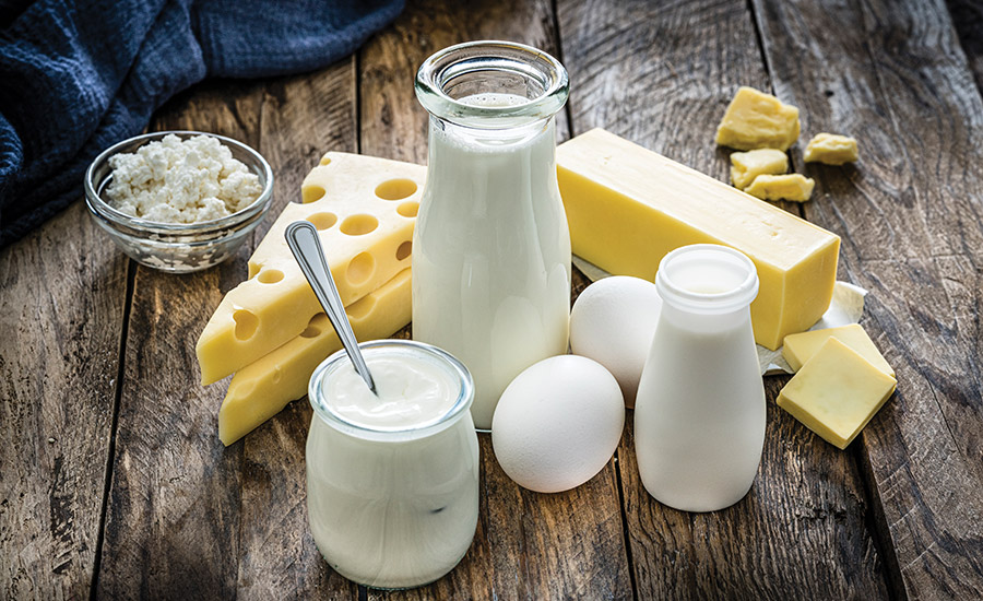 dairy products