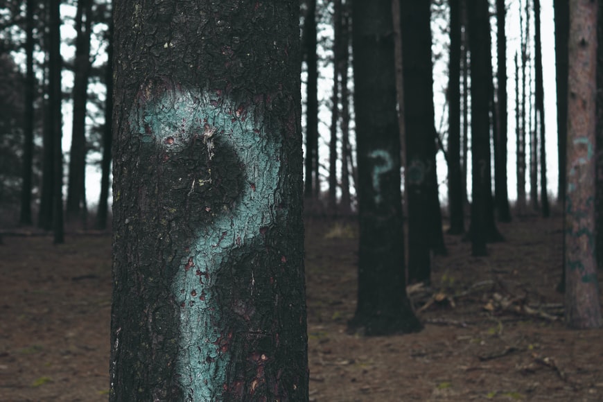 Question Mark