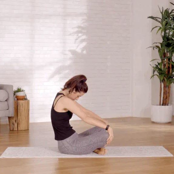Seated Cat-Cown