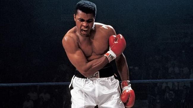 Famous Boxers in the World