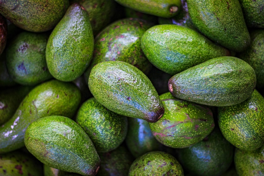 Avocado
