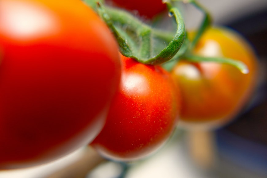 Red, almost ripe tomatoes