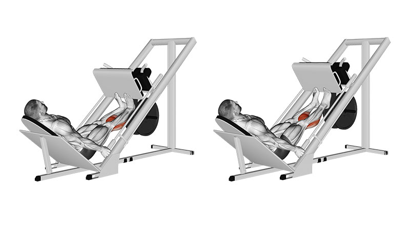 Calf Press on Leg Machine