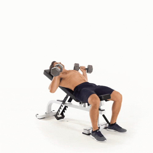 workout for kwee