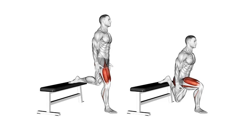 Low Split Squats