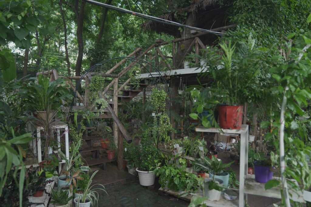 ClassicGarden_Treehouse