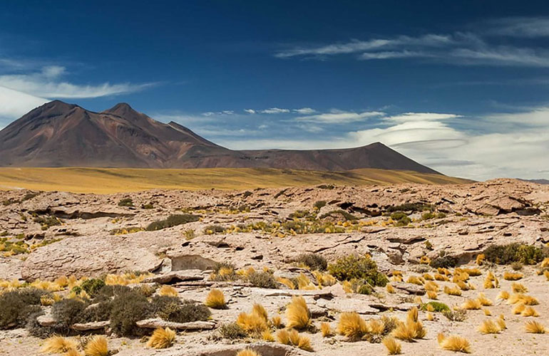 Atacama Desert