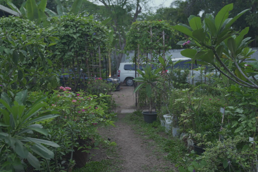 Classic_Garden_Outdoor