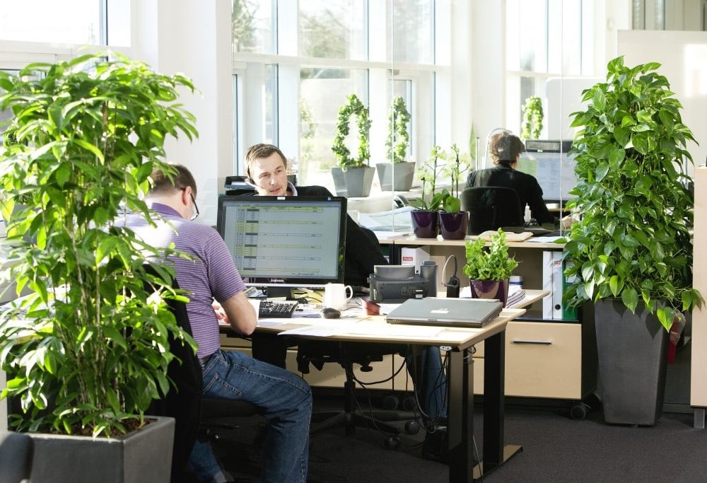Happy Workplace