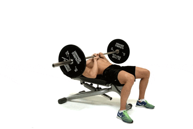 ရင်အုပ် ကြွက်သား Workout