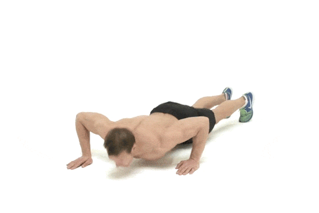 ရင်အုပ် ကြွက်သား Workout