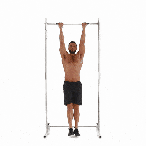 exercises