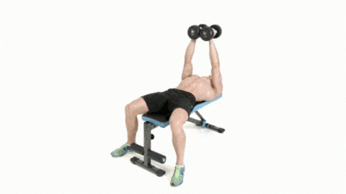 exercises