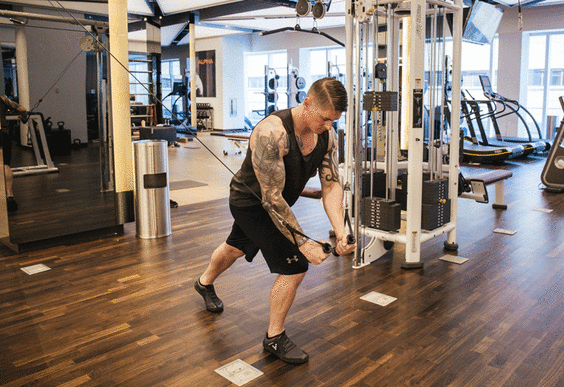 exercises