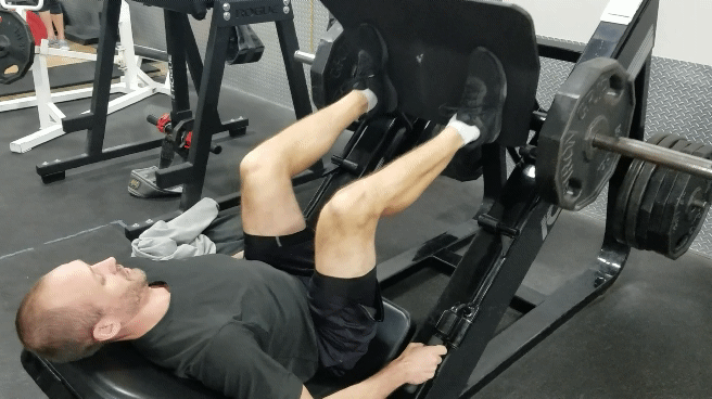 exercises