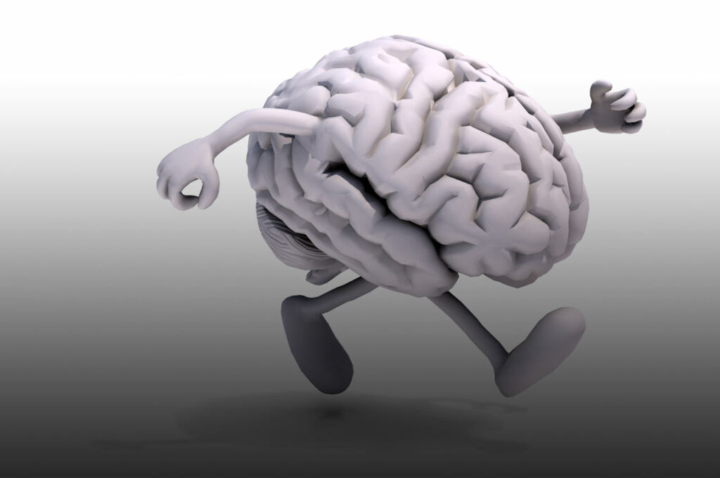 brain