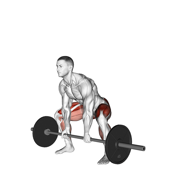 exercises