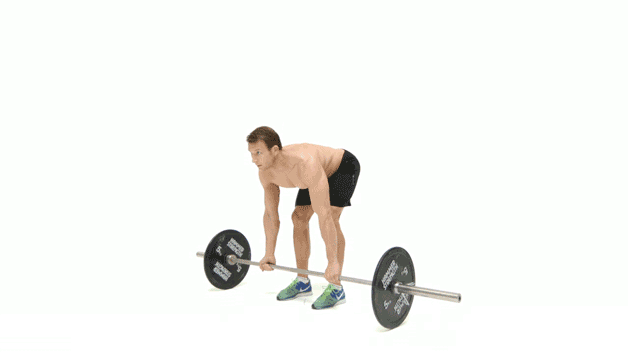 lower body exercise