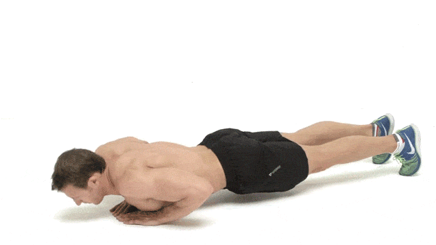 Arm muscles