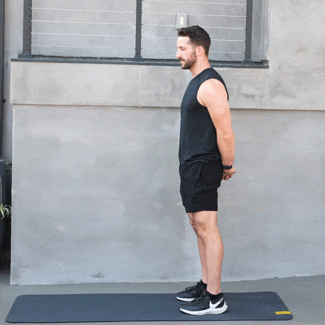 exercises