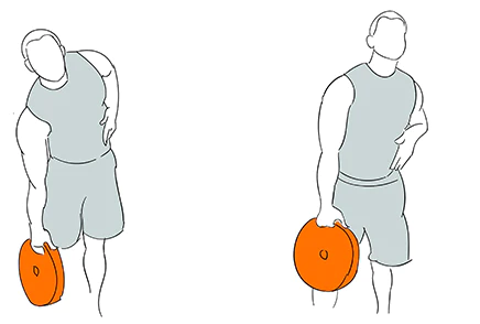 weight plates exercises