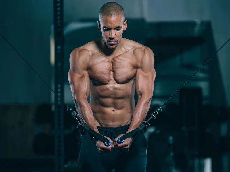 Chest Exercises
