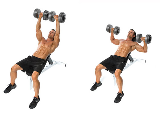 Muscle ဘဲရီး