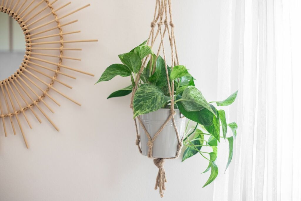 DIY