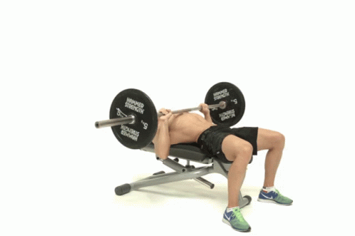 exercises