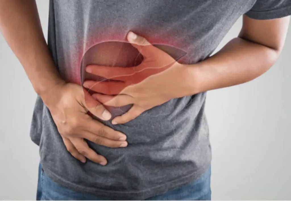 liver