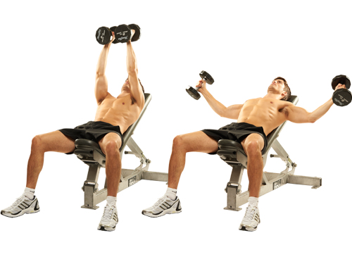 ရင်ခွင်ကျယ်ကြီး Workout