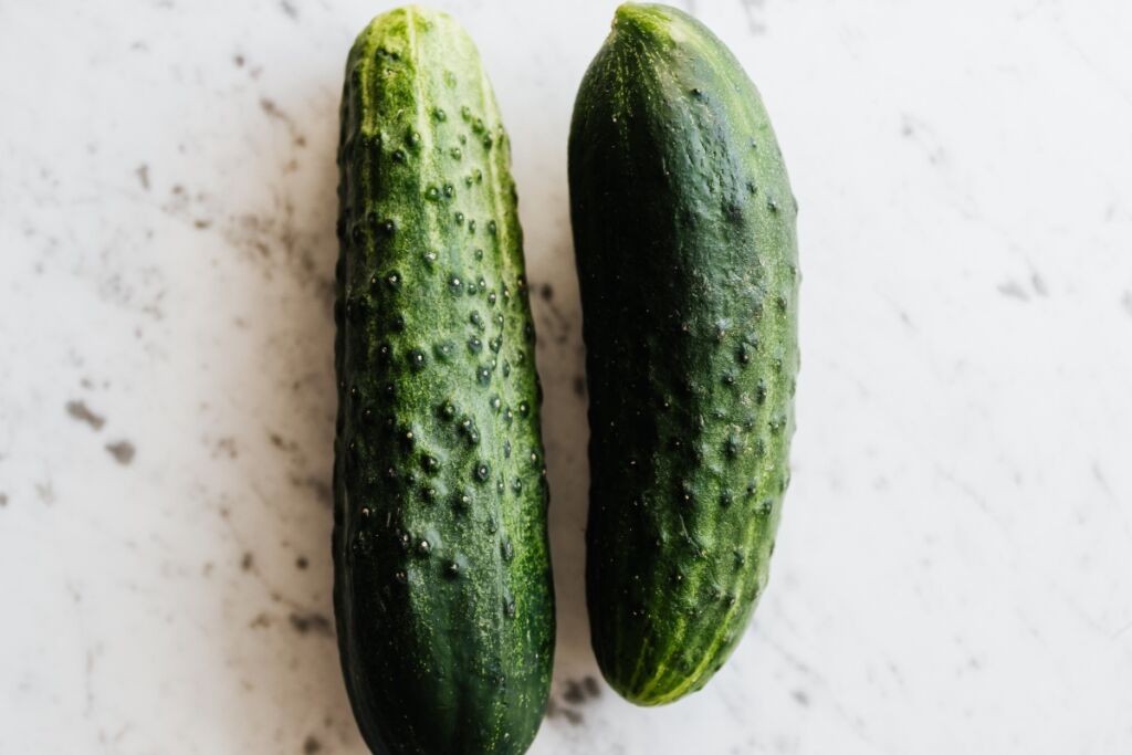 Cucumber