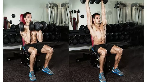 Seated Arnold Press