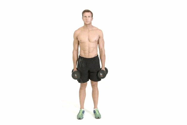 Dumbbell ကြွက်သားတွေ