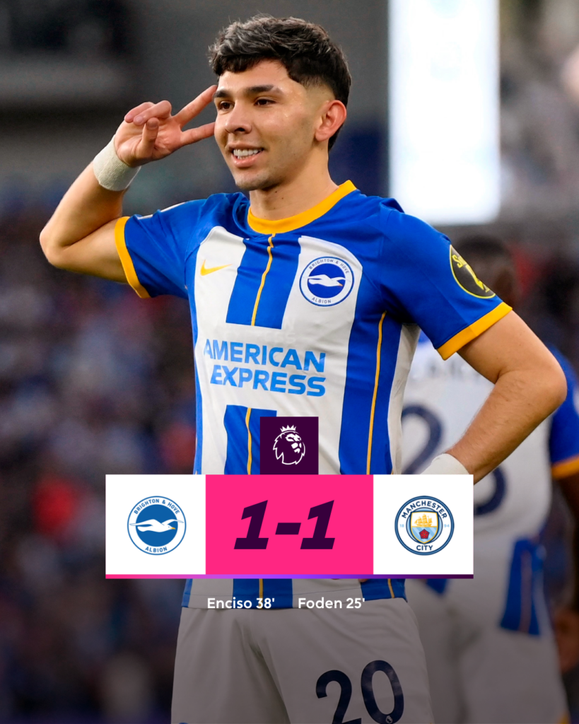 brighton draw city