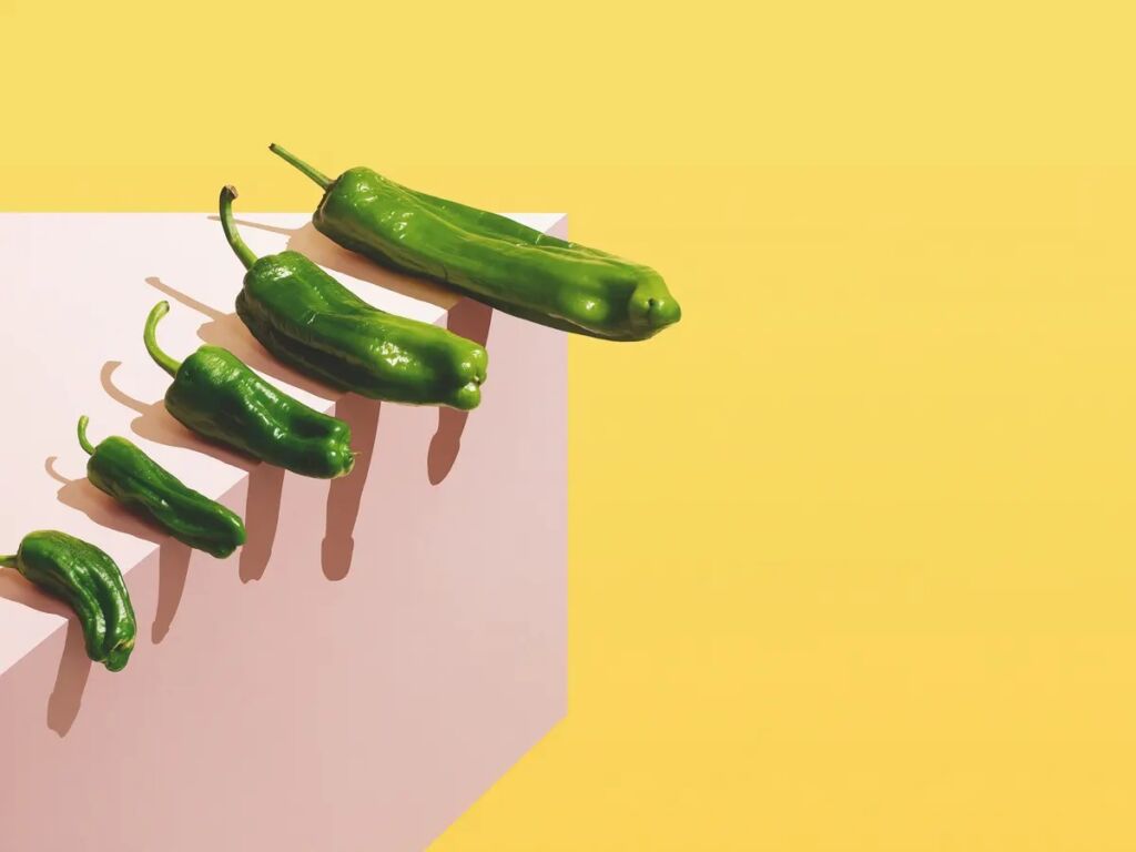 penis size