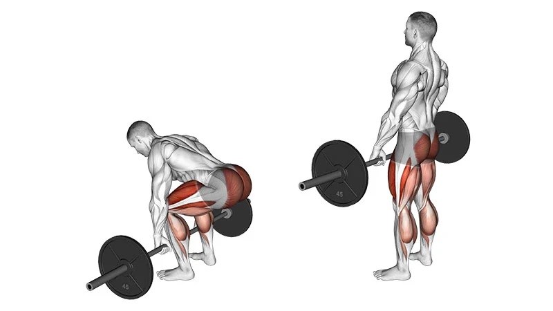 Deadlift