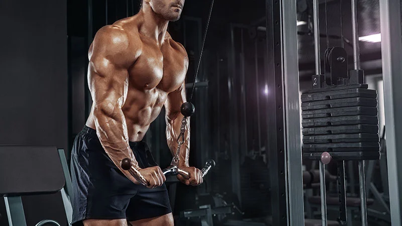 Tricep Pushdowns