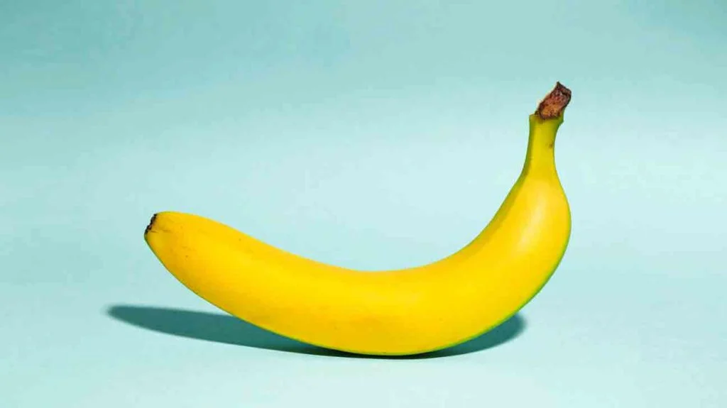 Penis Types