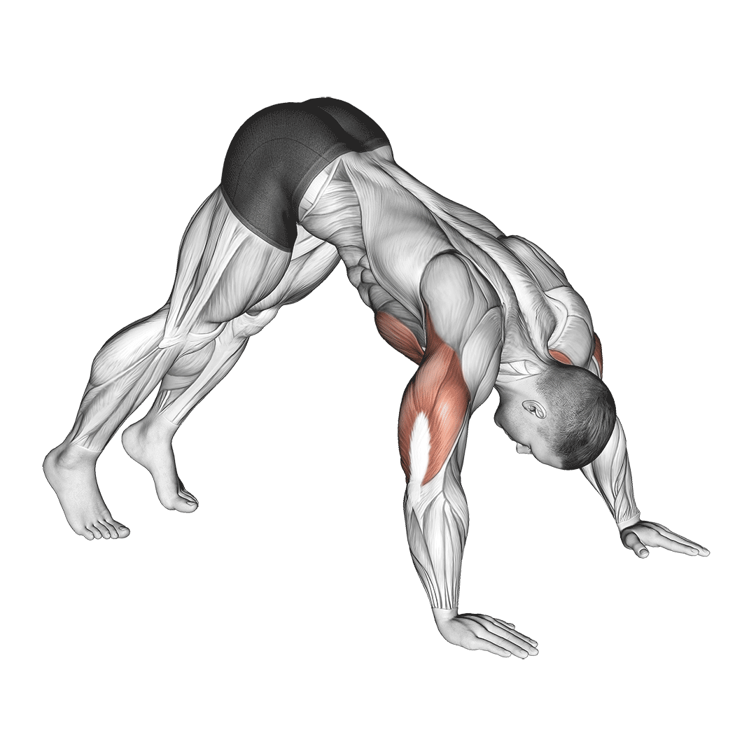 Pike Push-Ups