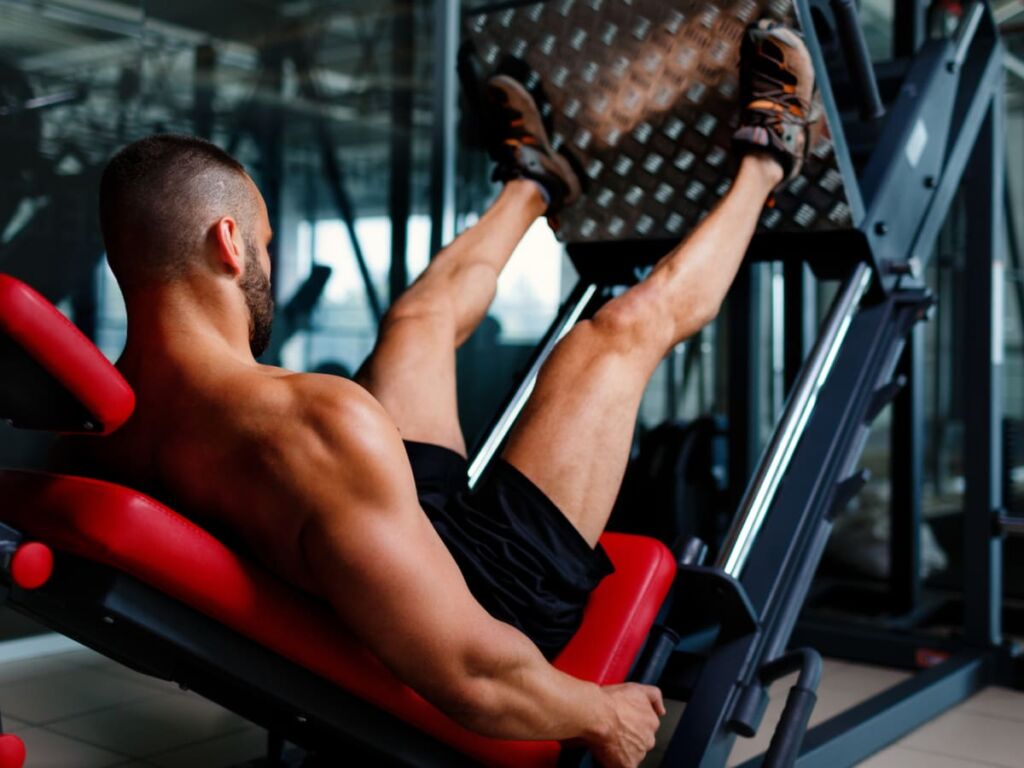 Lower Body Workouts