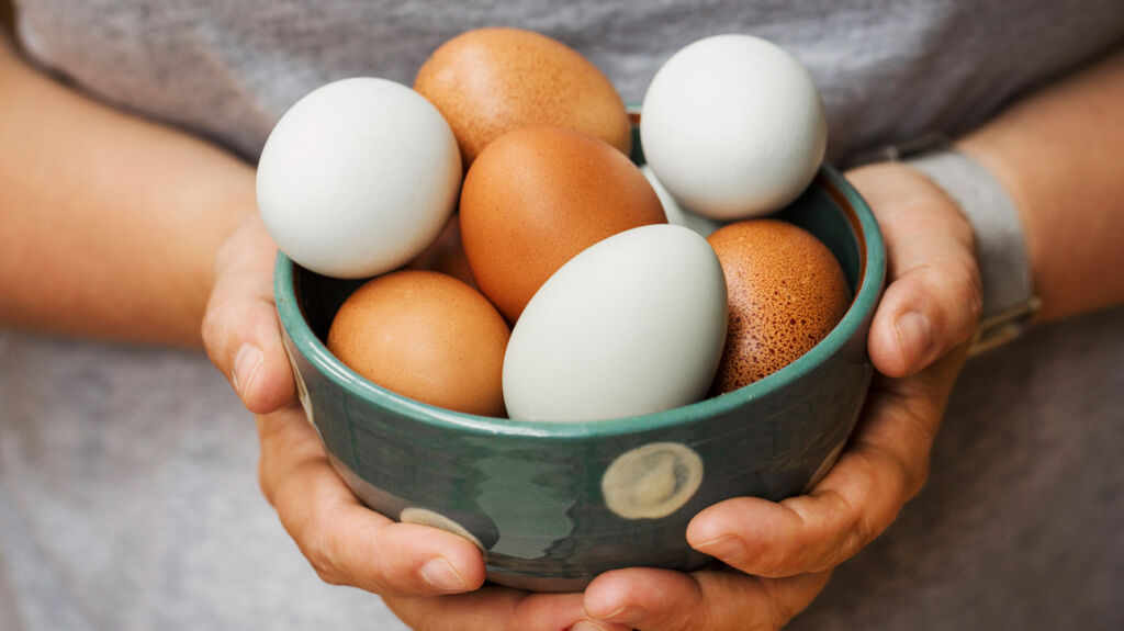 Eggs