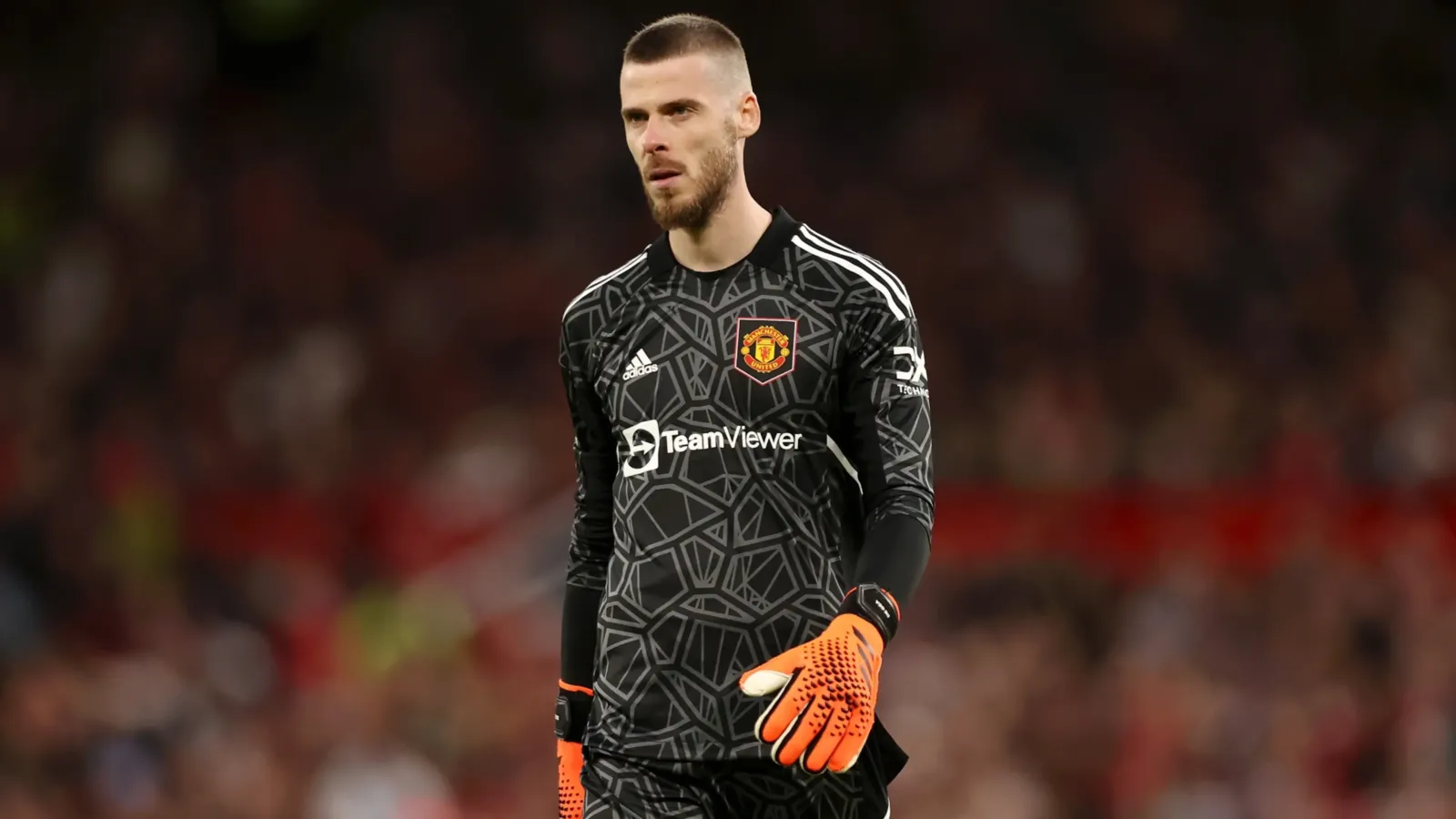 David de Gea