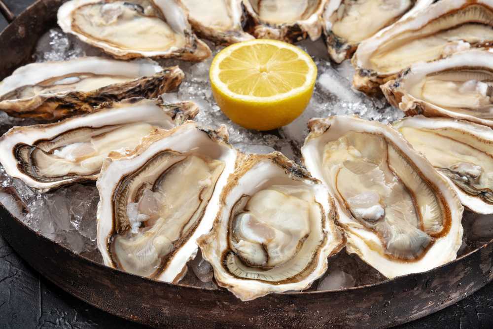 Oysters 