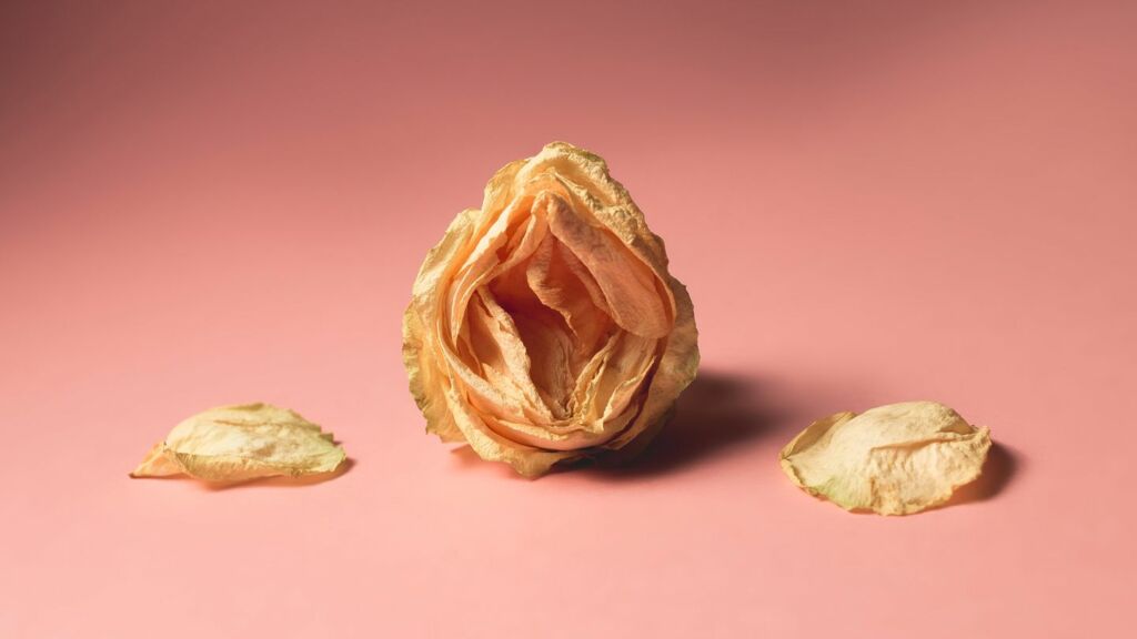 Vaginal penetrative Sex