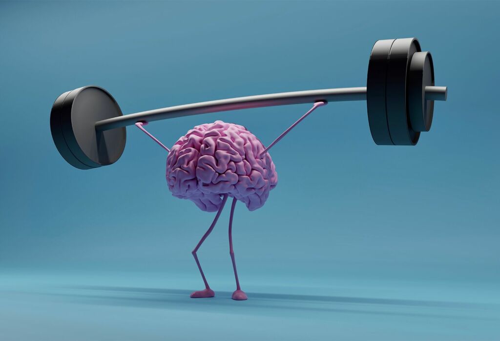 Brain 