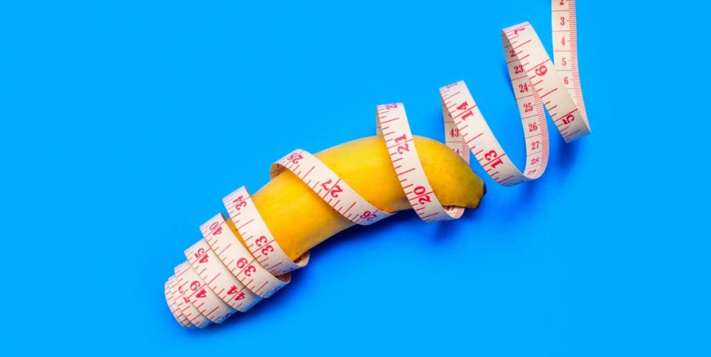 penis size